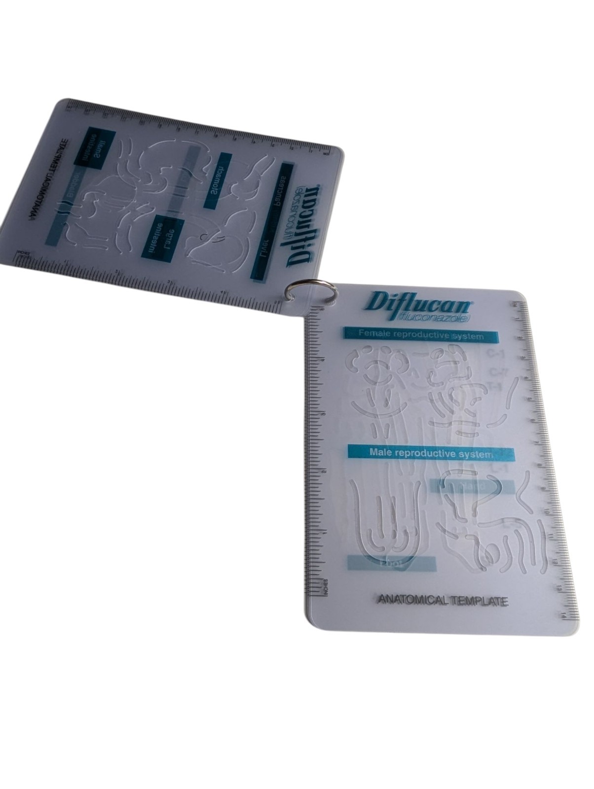 Vintage 1998 Drug Rep Pfizer Diflucan 6″ Anatomical Template Advertisement