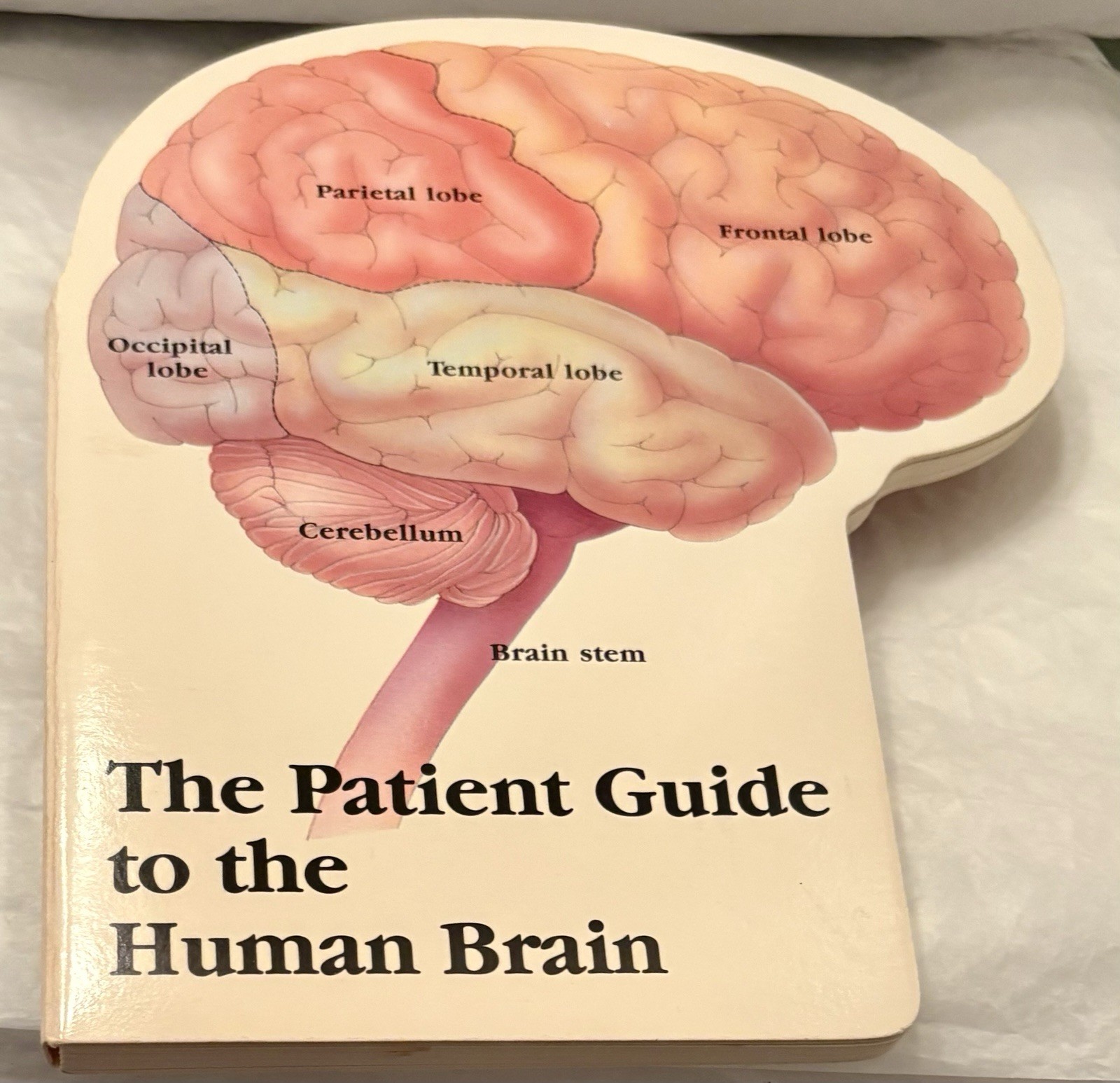 VTG 1990 TEGRETOL “PATIENT GUIDE TO THE HUMAN BRAIN” PHARMA LOGO ADVERTISING
