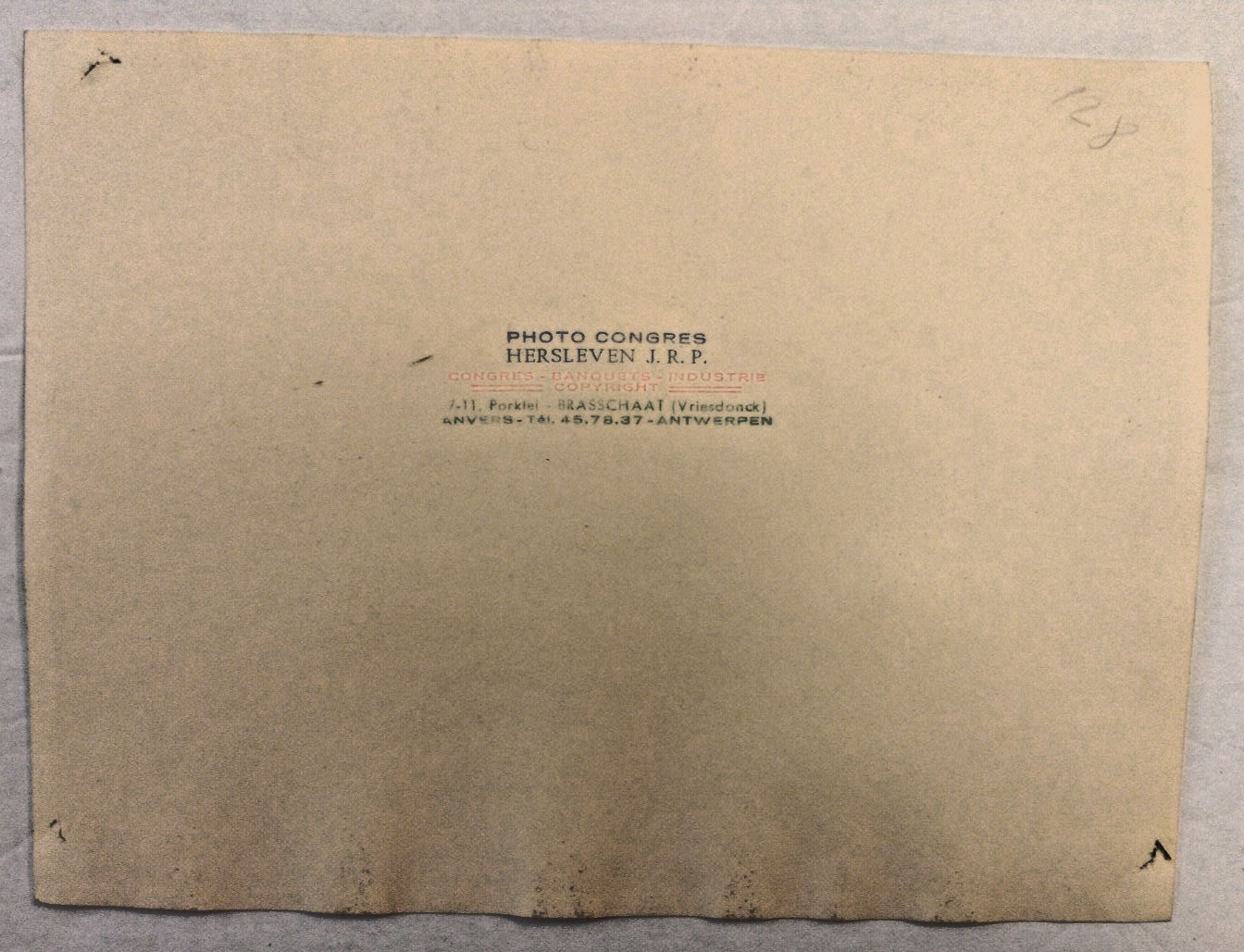 Lot/2- 1958 Real Press Photo International Congress Of Pharmacy General Assembly