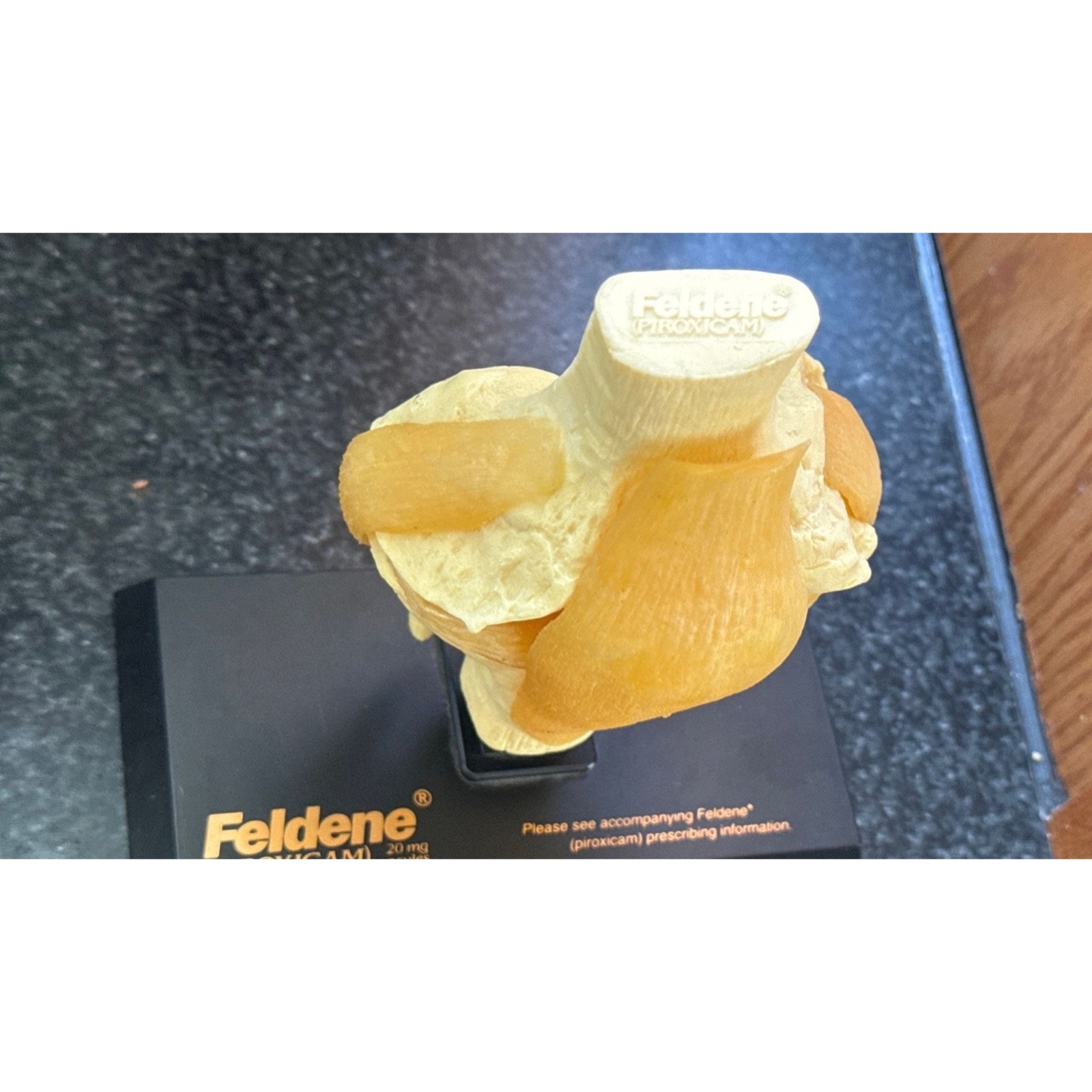 Vtg Feldene Piroxicam Knee Anatomical Pharmaceutical Model 1970’s Base 8″