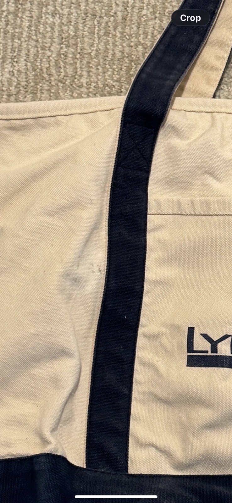 Vintage Pharmaceutical Rep Promo Canvas Cotton Tote Bag LYRICA Pregabalin