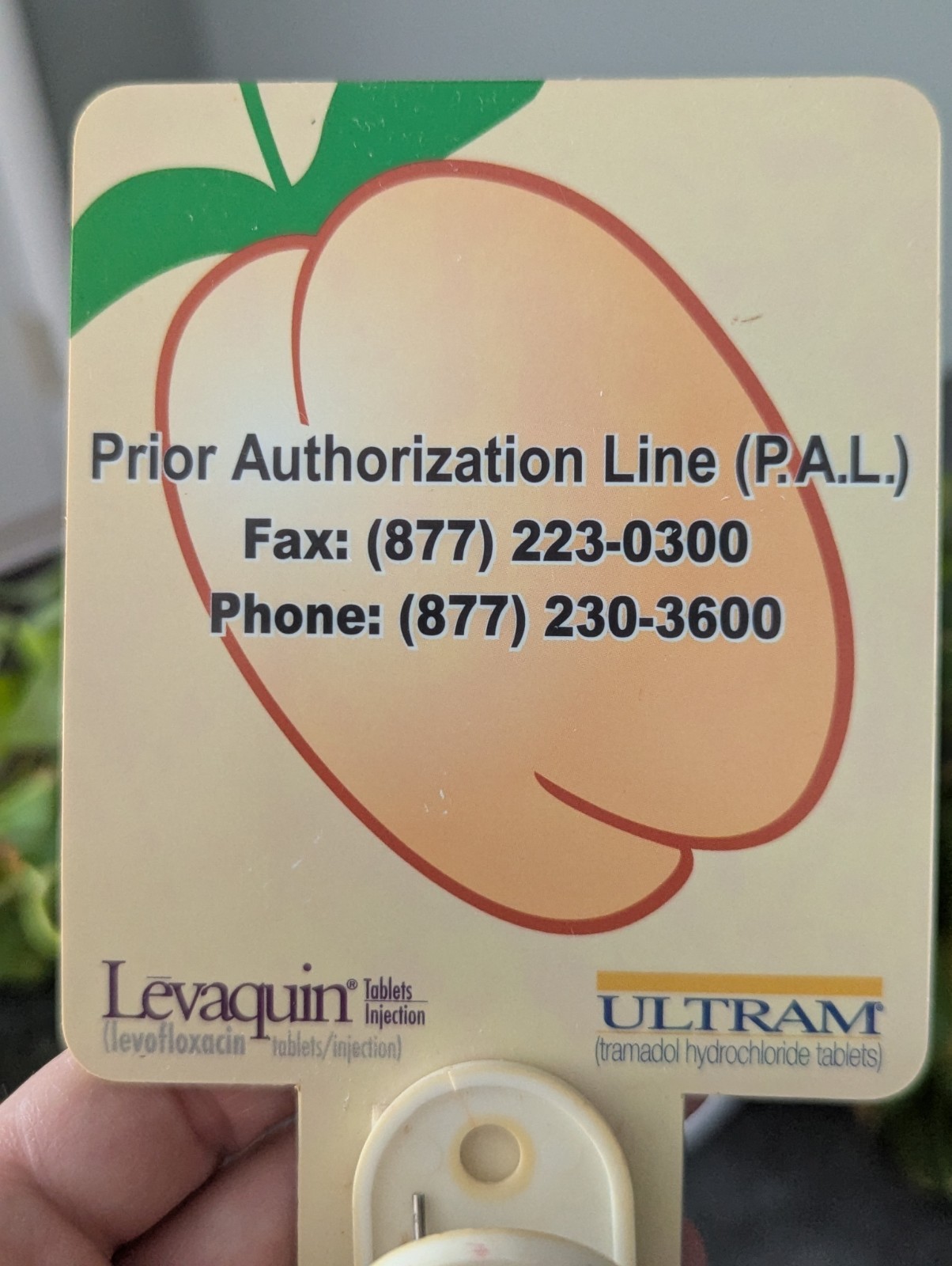 Vintage Levaquin Ultram Medicine Refrigerator Magnet Memo Clip Drug Rep Merch