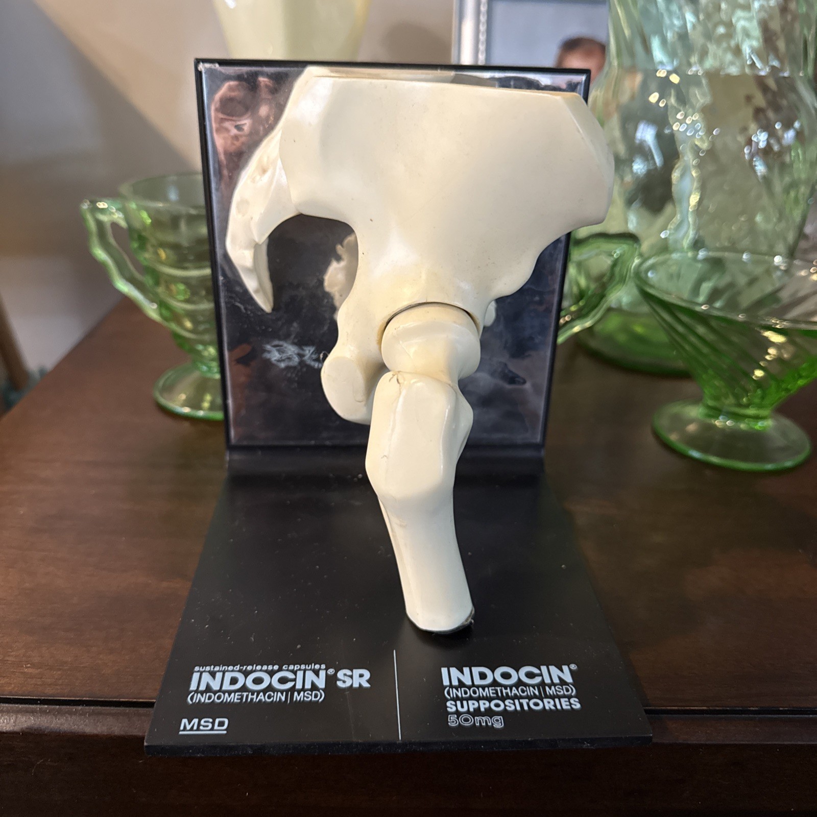 Vintage 1980’s Merck Indocin Human Hip Anatomically Correct Excellent Look