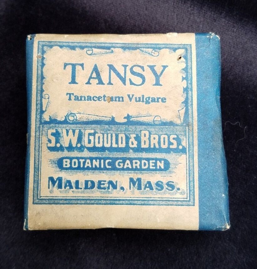New Old Stock Herbal Package TANSY SW Gould Botanic Garden Malden Massachusetts