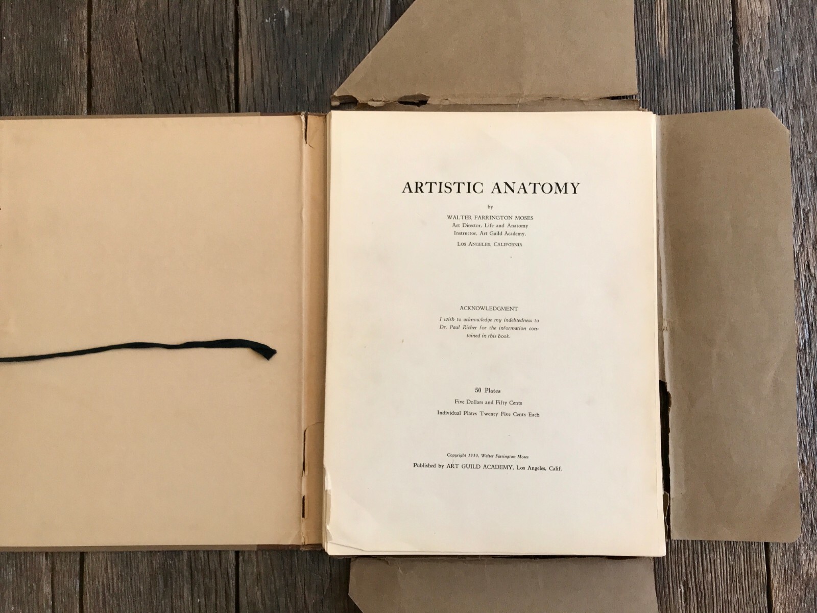 1930 Anatomical drawing Set Of 50 “Plates” From The Art Guild Academy Of LA
