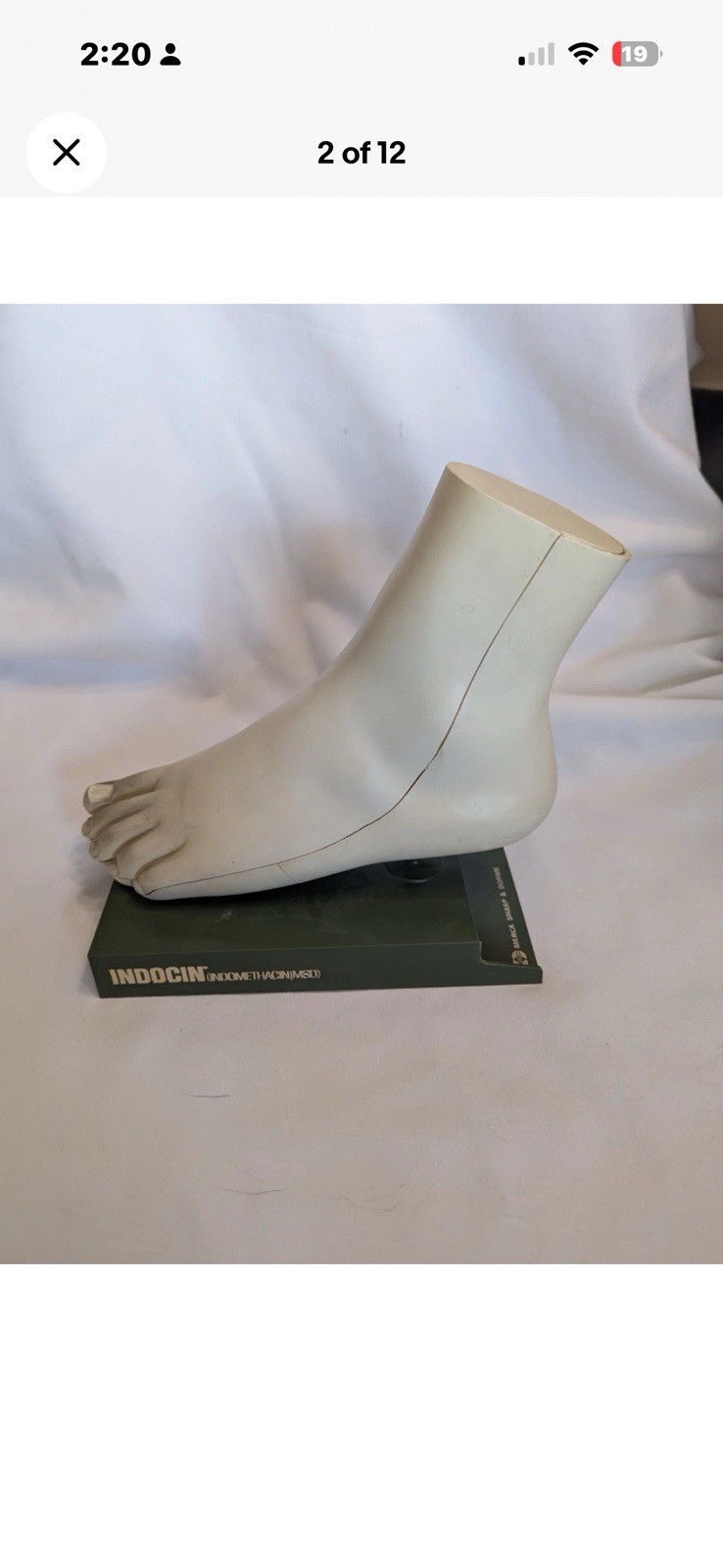 Anatomical foot display – Merck, Sharp & Dohme, please read