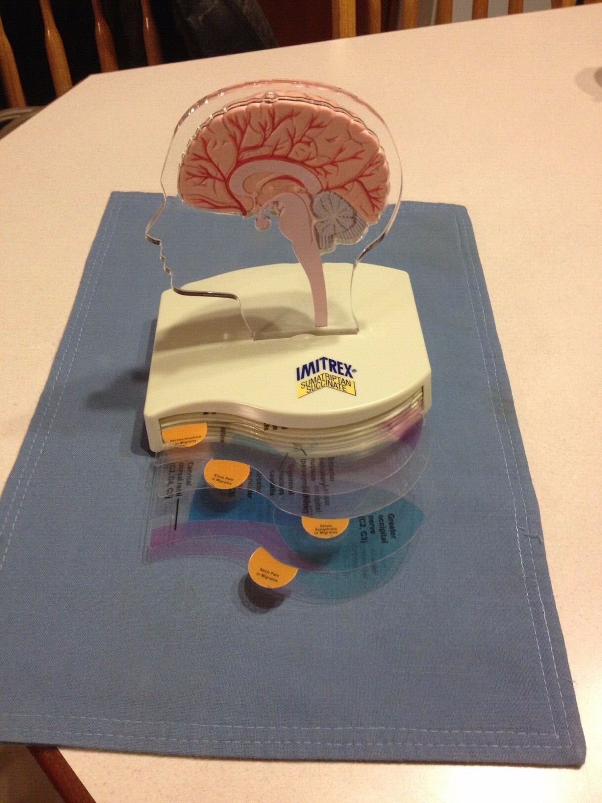 Imitrex Hemi-brain model