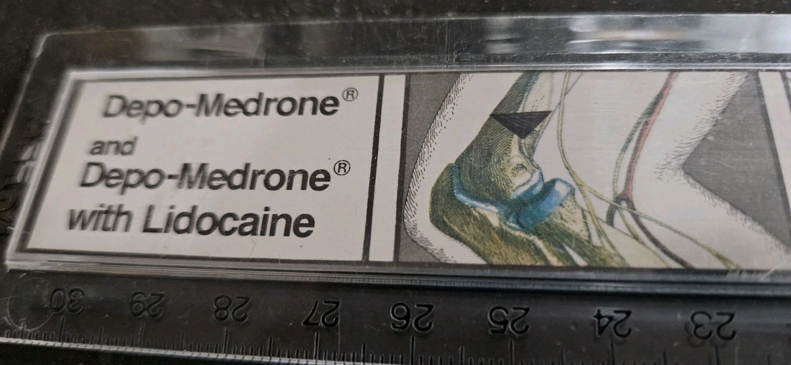 Vintage Upjohn Pharma. 12″ Plastic Ruler Advertising Lidocaine. Crawley UK