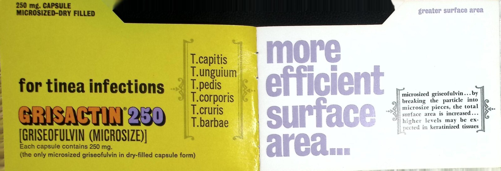 Vintage 1967 Grisactin 250 Medical Advertising Brochure – Ayers Laboratories