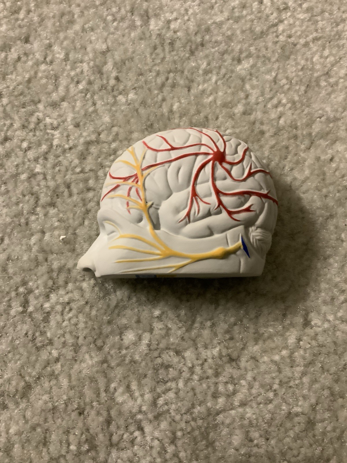 Vintage Imitrex Brain Shaped Foam Stress Ball Medical Advertising Promo Rare