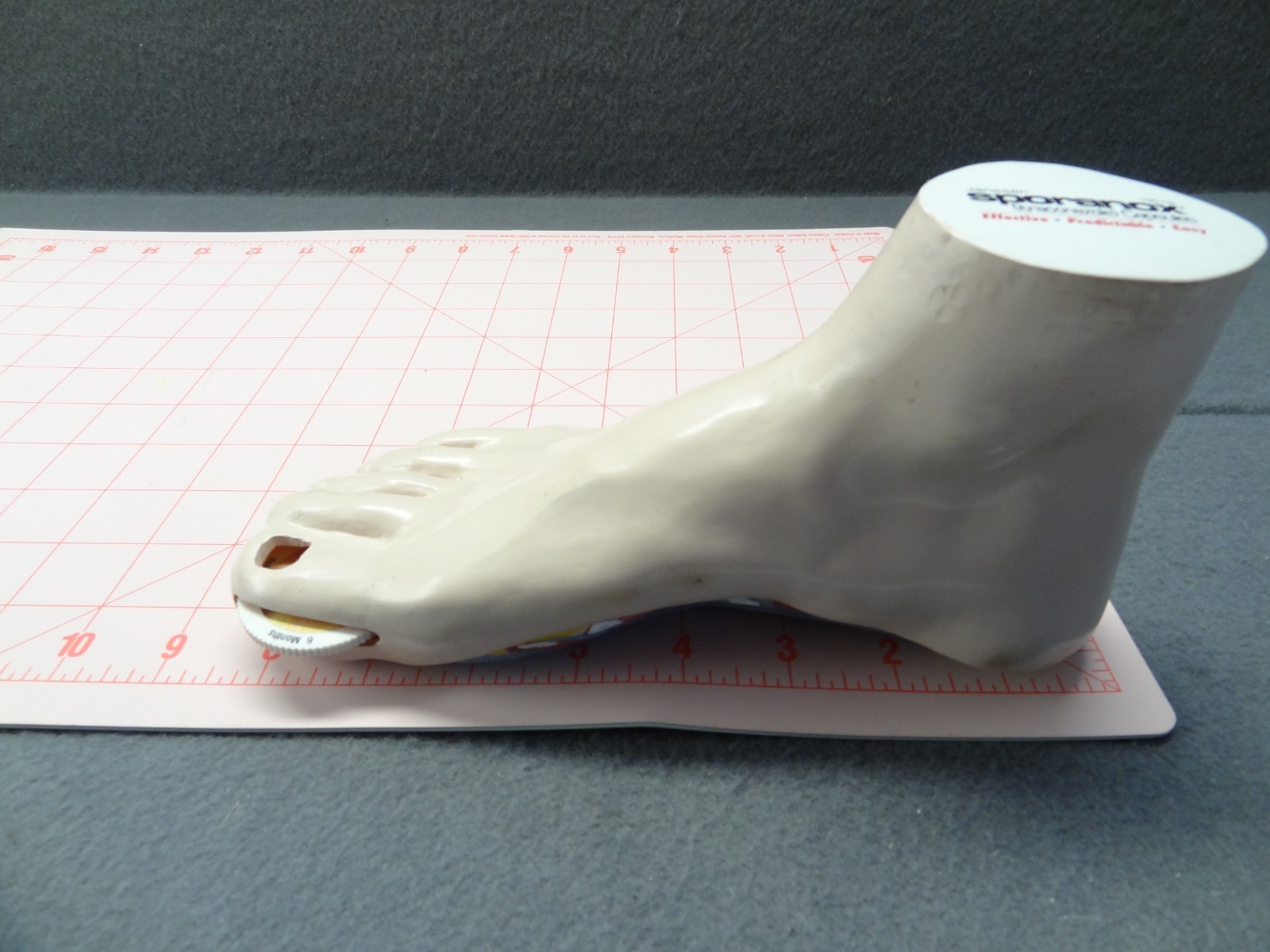 Janssen Sporanox Capsule Foot Display Model Prop Doctor Office Advertisement EUC