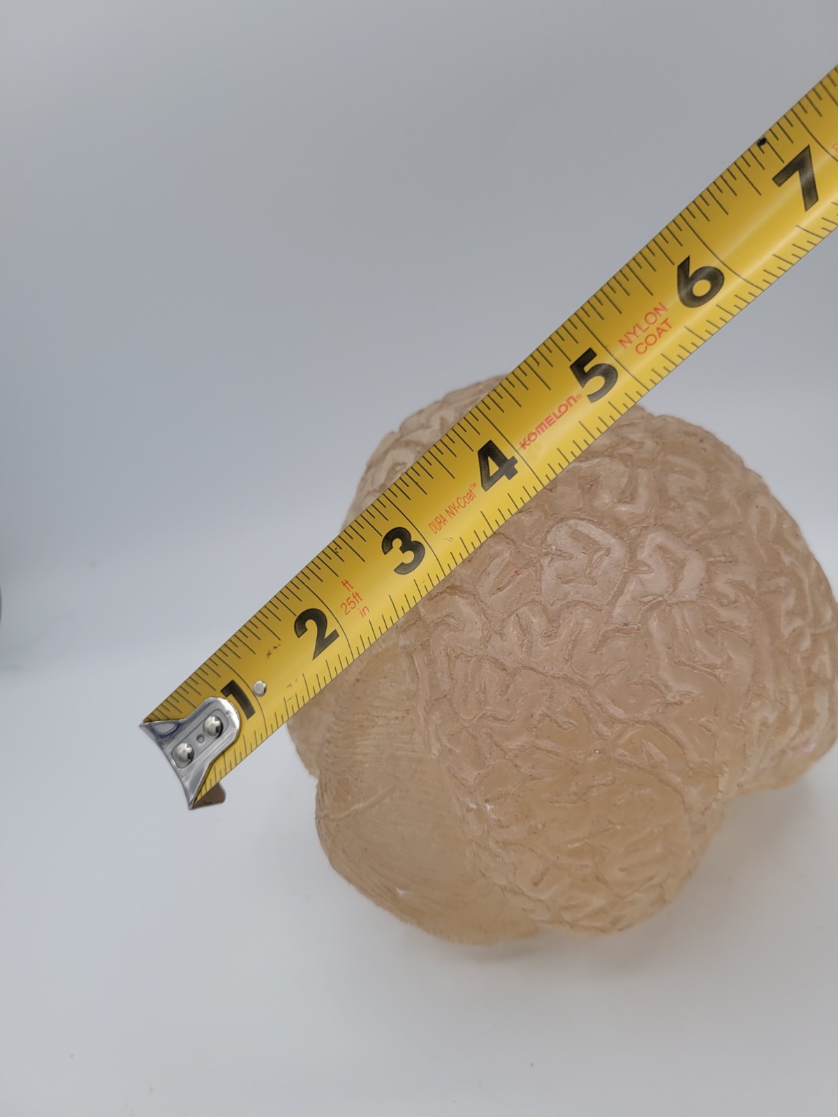 Vintage Lucite Acrylic Brain Cerebellum Model Medical Pharmaceutical Science
