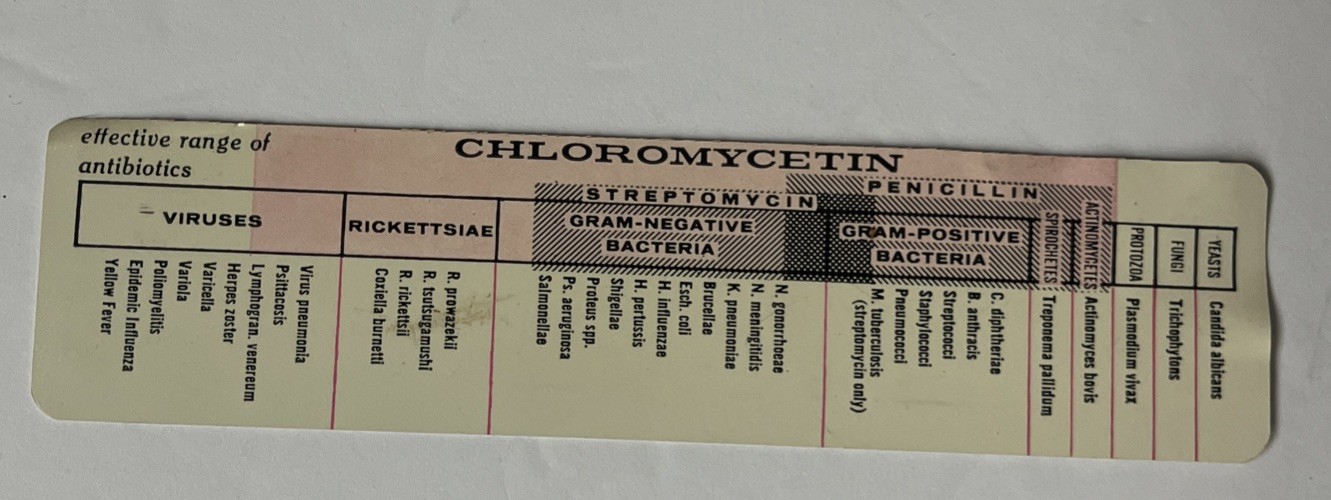 VINTAGE CHLOROMYCETIN ANTIBIOTIC 6-INCH ADVERTISING RULER – PARKE, DAVIS & CO.