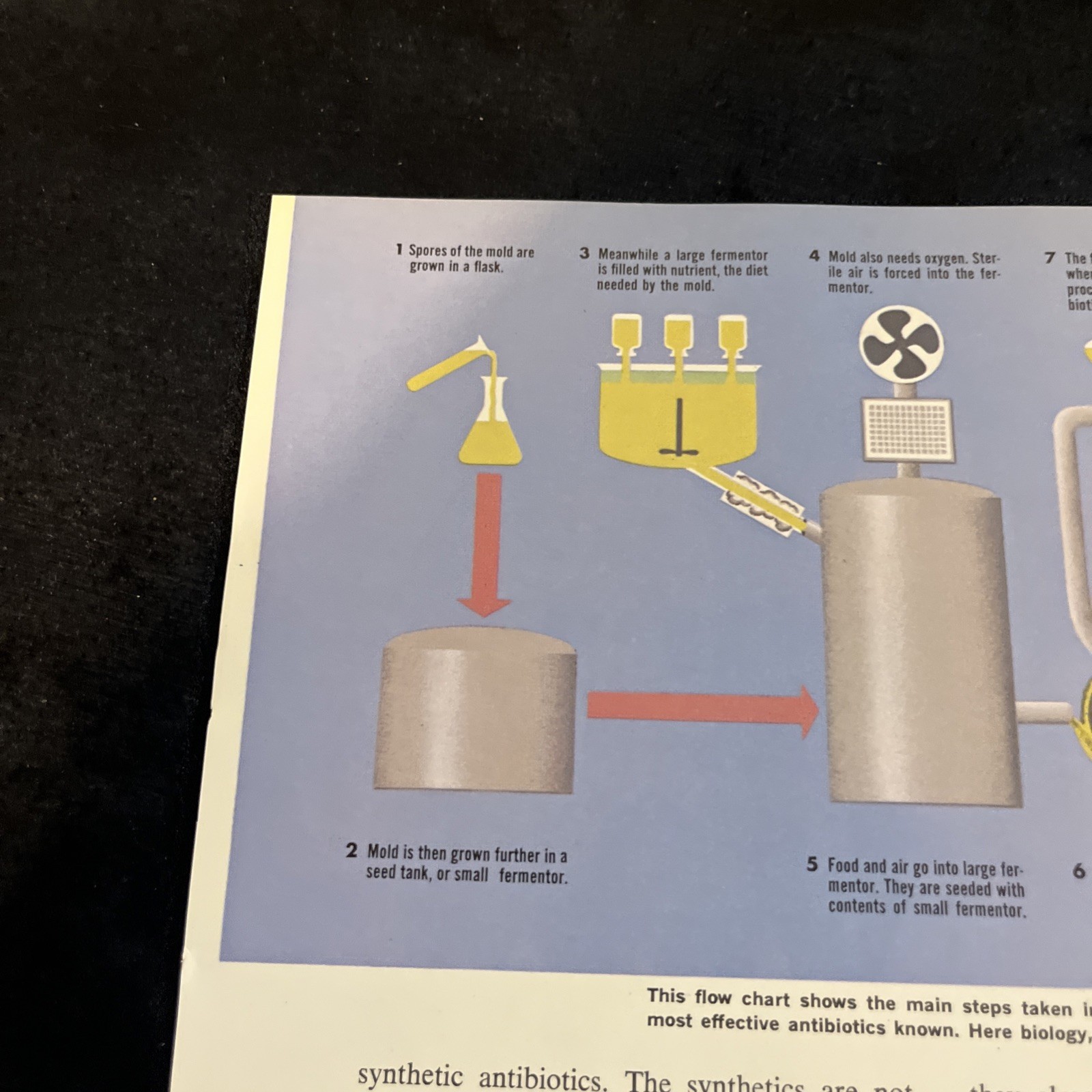Weimer Purcell Antibiotic Production Illustration 1967 Original Encyclopedia