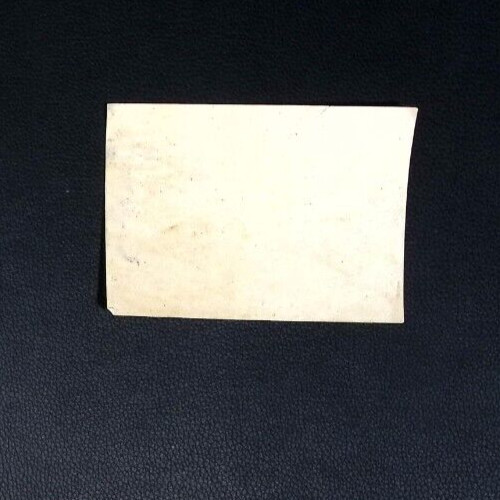 Antique Hayden’s Viburnum Compound Label – New York Pharmaceutical Co