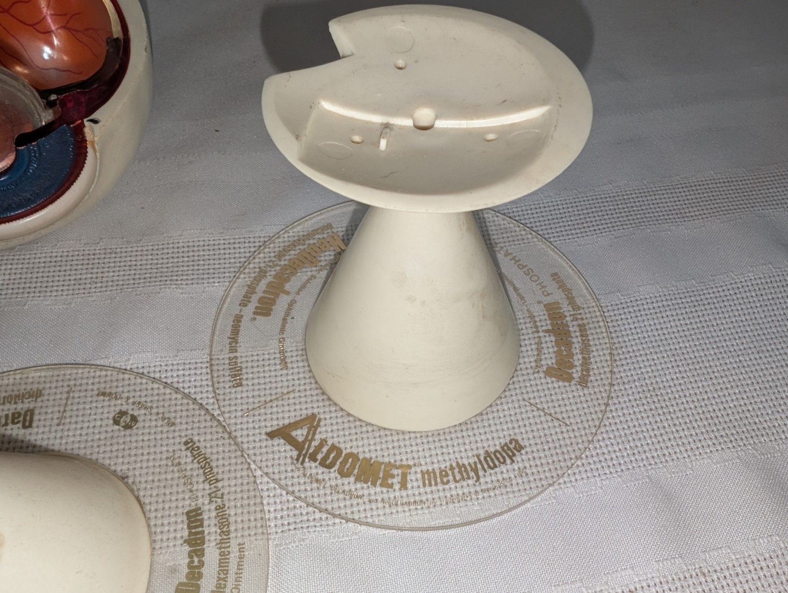 1960s Merck Pharmaceutical Advertising Model “Aldomet Methyldopa” Eye Model
