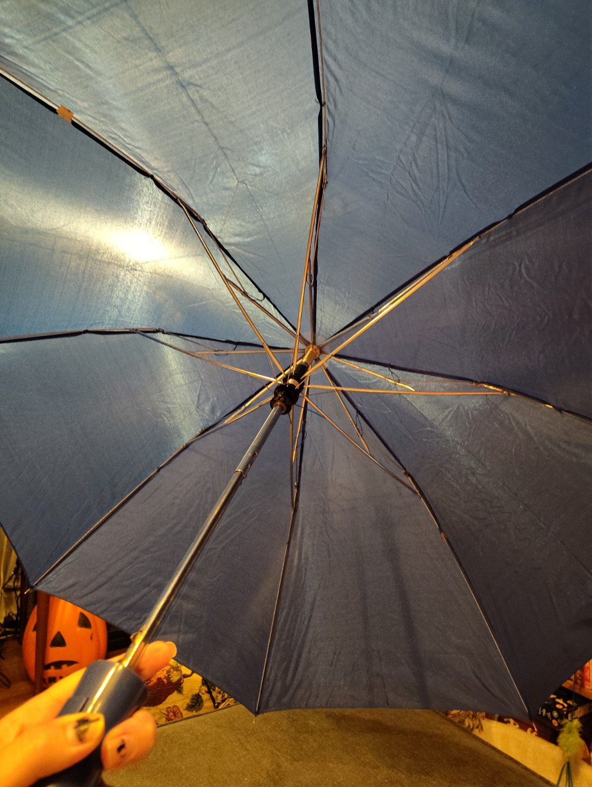 Haldol Decanoate 100 Promotional Pharmaceutical Merchandise Umbrella