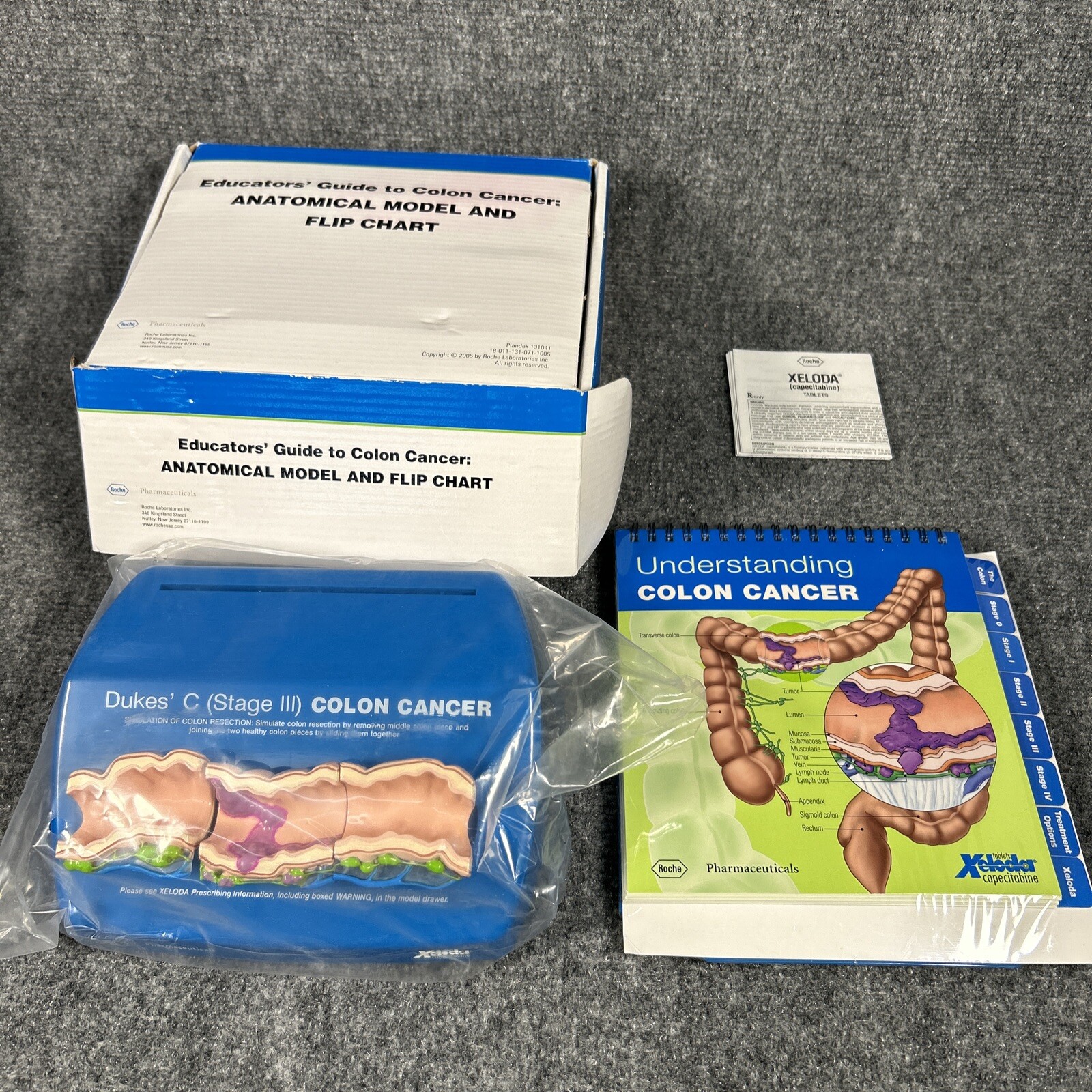 Colon Cancer Anatomical Anatomy Model Chart Display Roche Pharmaceutical Xeloda