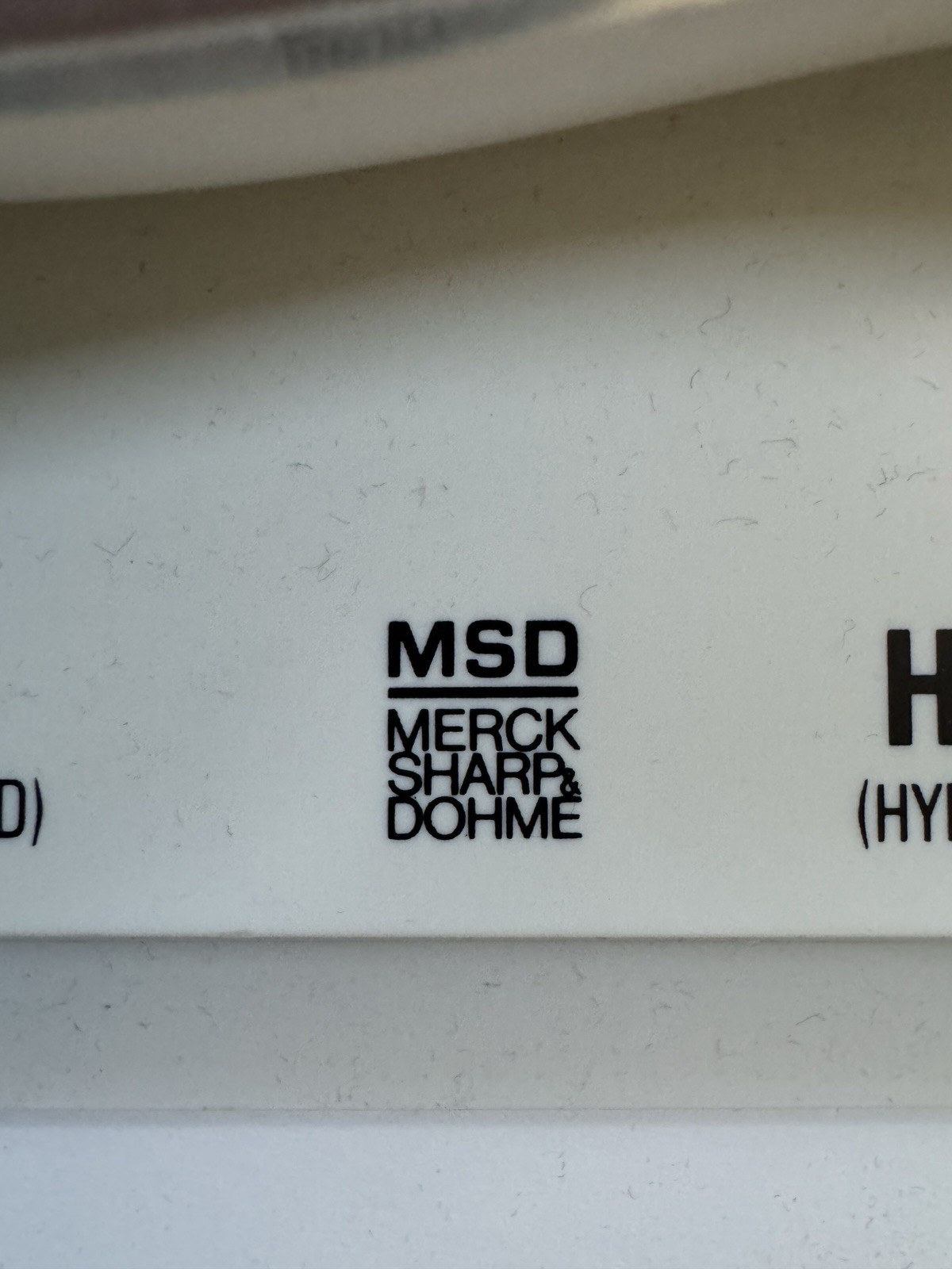 Merck MSD Diuril Advertising 3D Model Vein Artery 1976 Anatomical Sales Sample