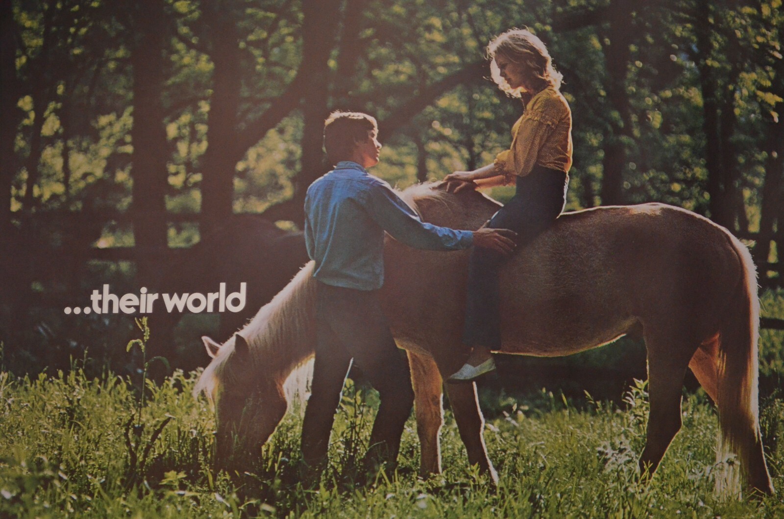 Lot of (2) Vintage “Their World” Ortho-Novum Birth Control Advertisement Poster