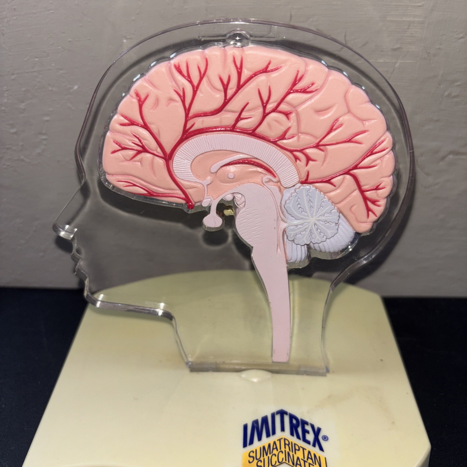 Imitrex Hemi-Brain Model @