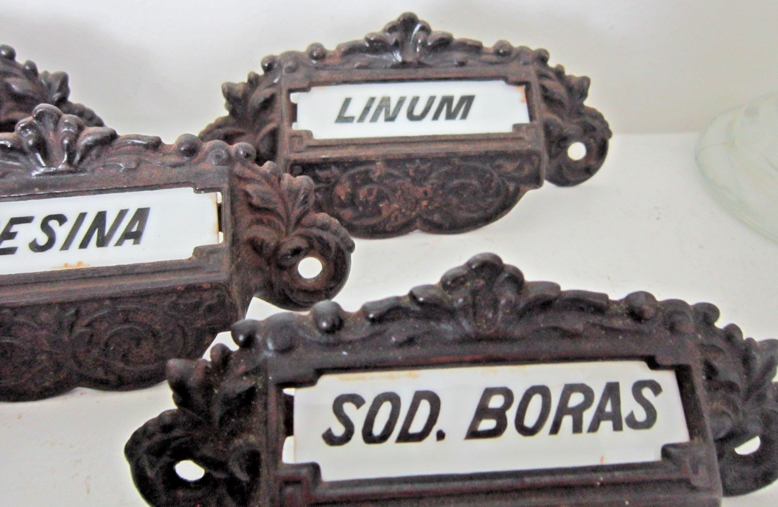 1800s Apothecary Drawer Pulls Handles Knobs Label Under Glass Pharmacy Cabinet