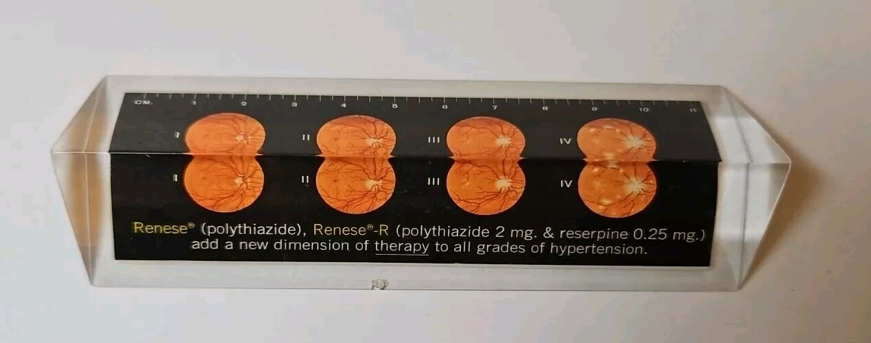 RENESE Pfizer Pharmaceutical Promo Vintage 1964 LUCITE Advertising Ruler