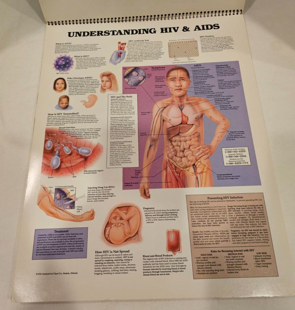Vintage BURROUGHS WELLCOME CO Zovirax Anatomic Atlas Free Standing 1994