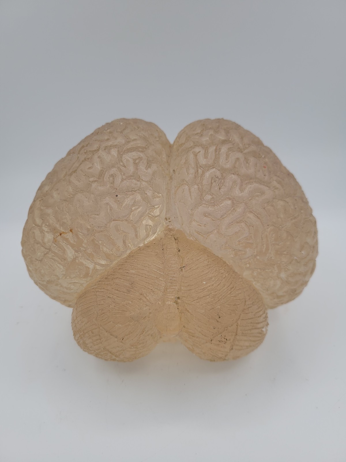 Vintage Lucite Acrylic Brain Cerebellum Model Medical Pharmaceutical Science