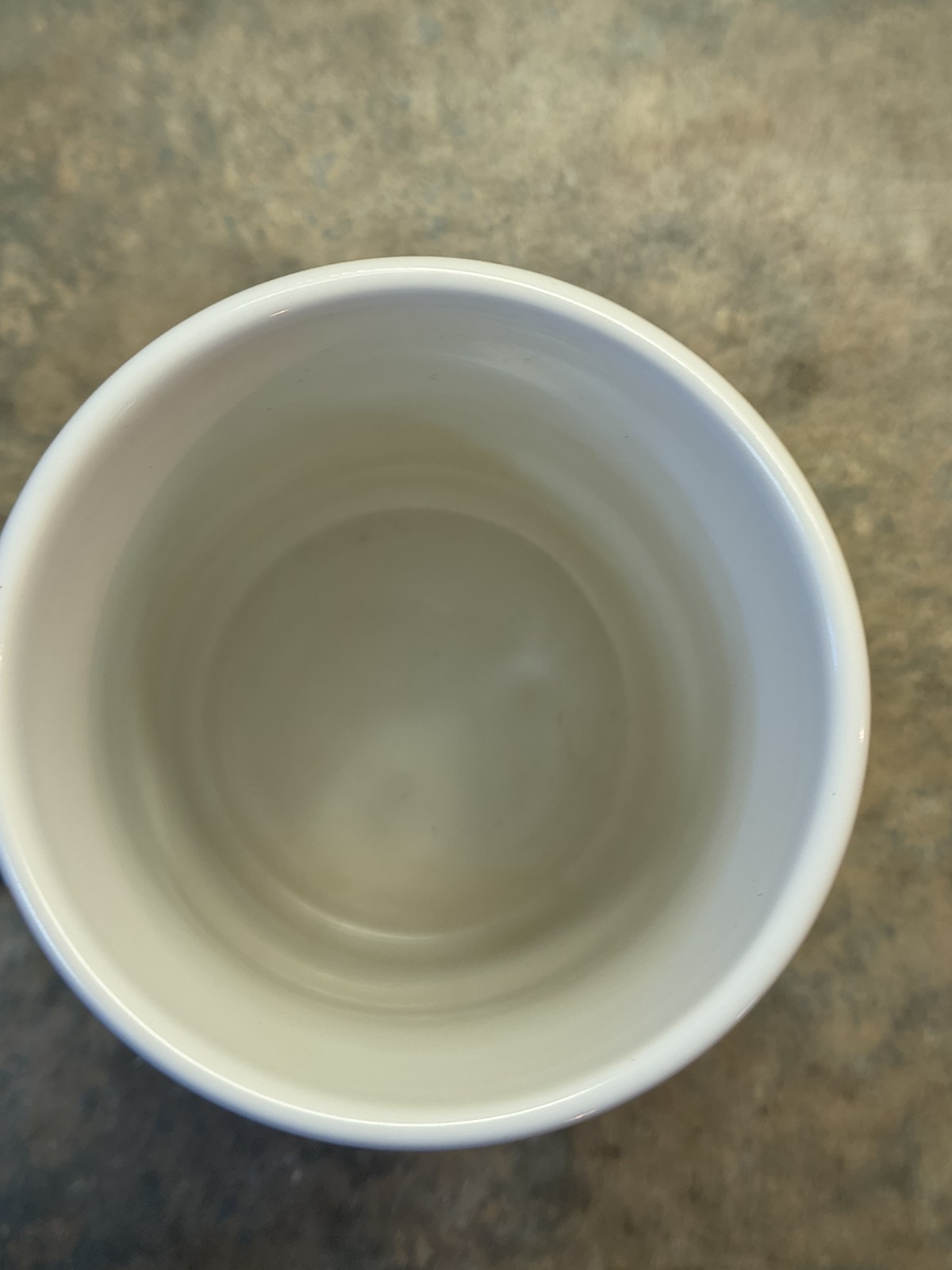 Tygacil Drug Rep Promo Coffee Mug Cup Wyeth Pharmaceutical Pharma Tigecycline IV