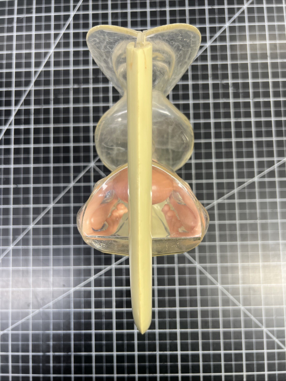 VTG 1950s Female Vaginal Medical Anatomy Model Ortho Pharmaceutical Raritan N.J.