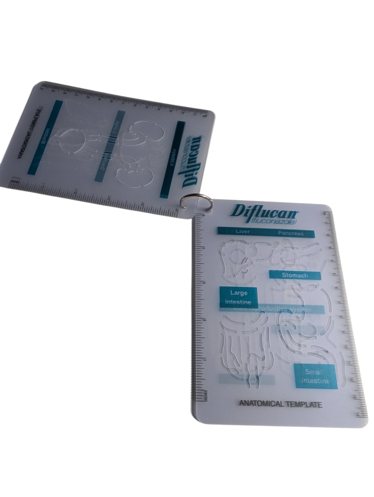 Vintage 1998 Drug Rep Pfizer Diflucan 6″ Anatomical Template Advertisement