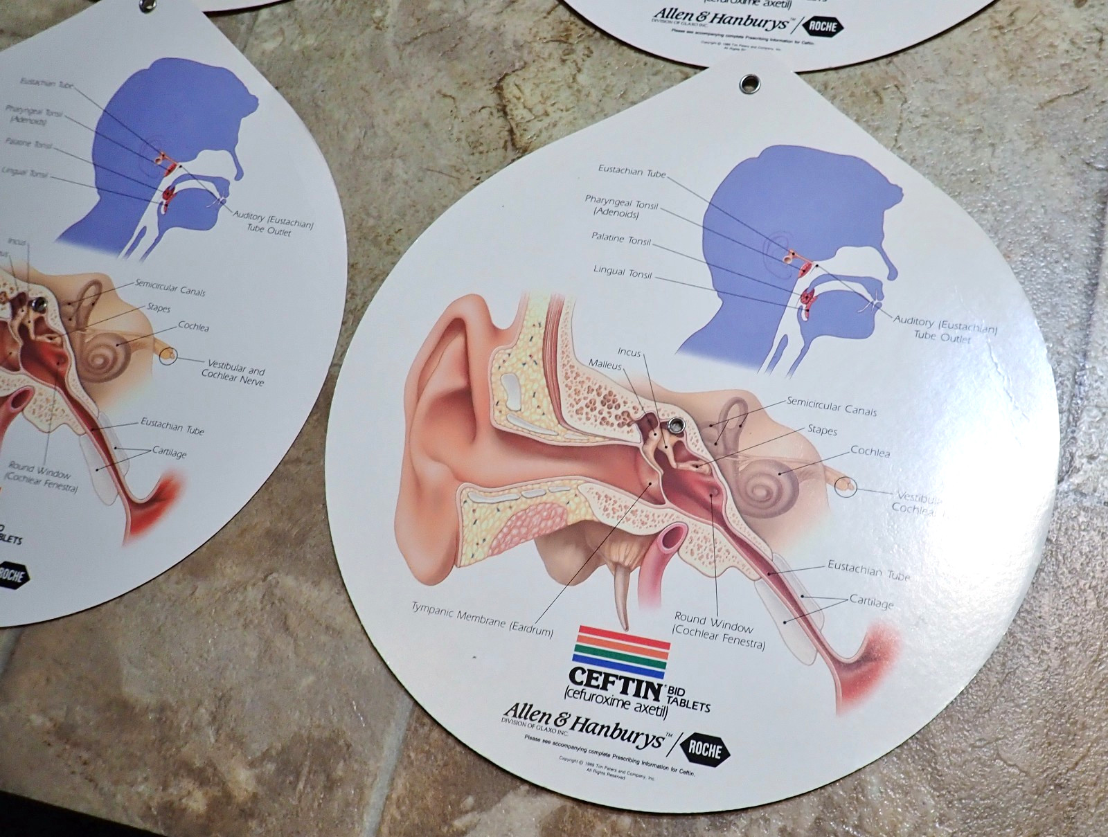 Lot of 4 Respiratory Tract Infections Wheel Medical Displays CEFTIN Advertising