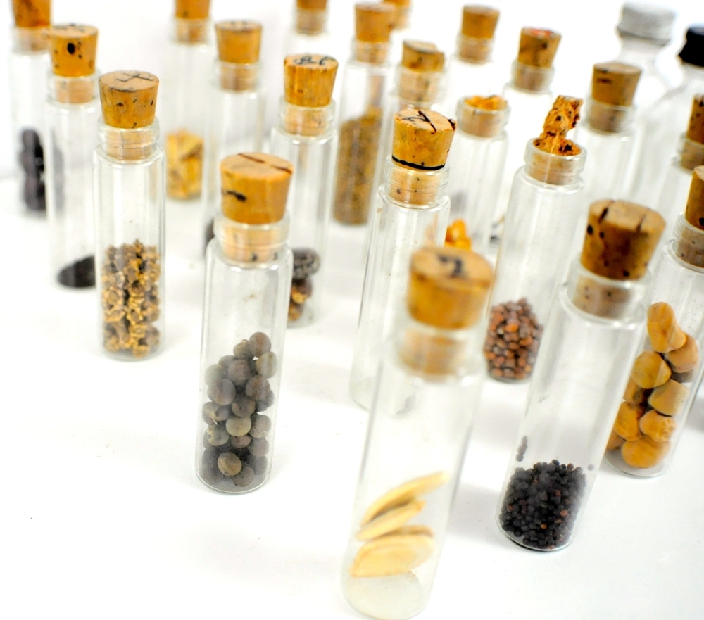 Lot of Vintage Glass Vials w/ Organic Seeds