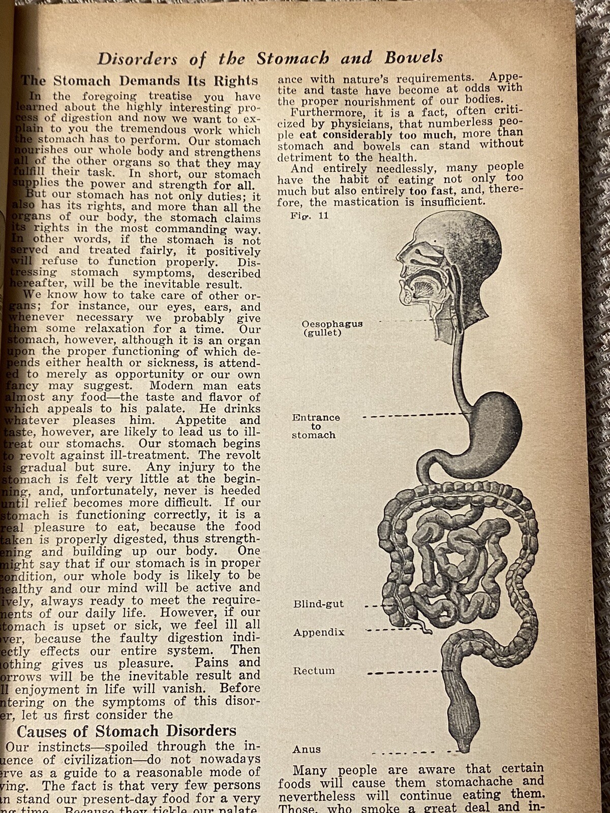 Vintage Advertising Heumann Family Health Book Patent Quack Medicine 1936 NYC