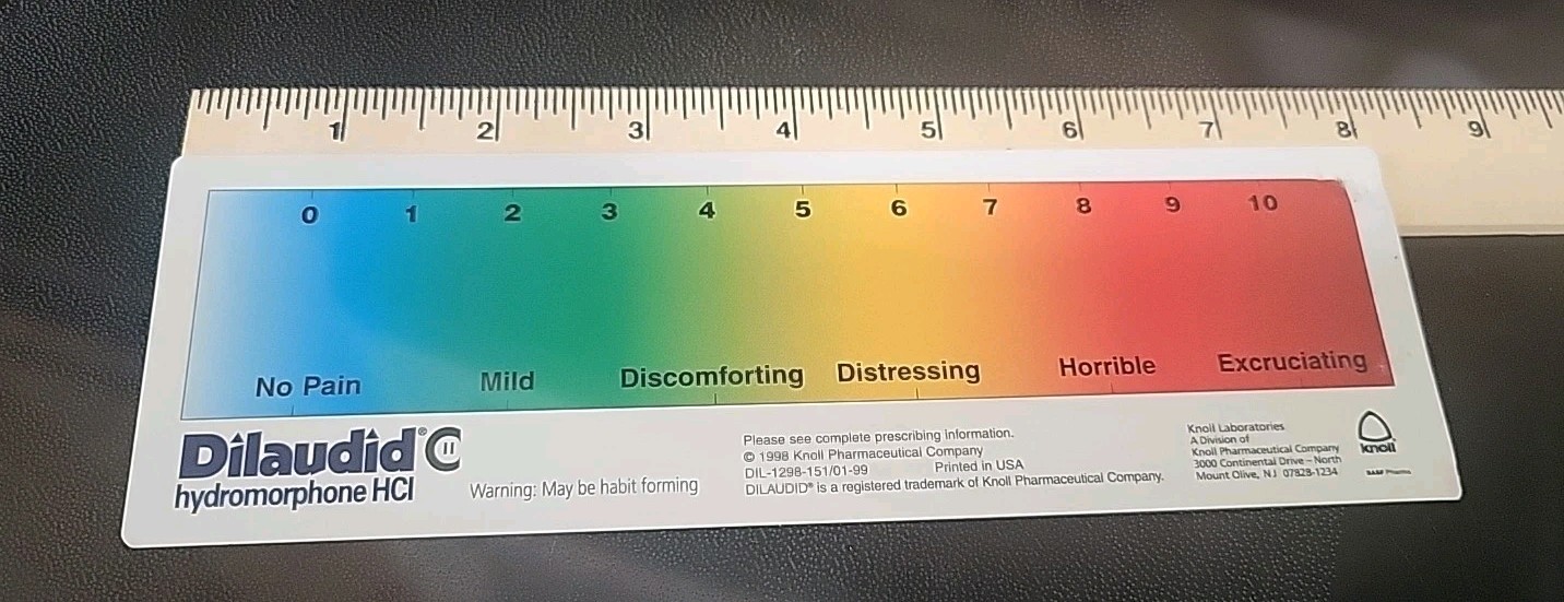 DILAUDID HYDROMORPHONE PAIN SCALE RULER Plastic -Pharmaceutical Rare Promo
