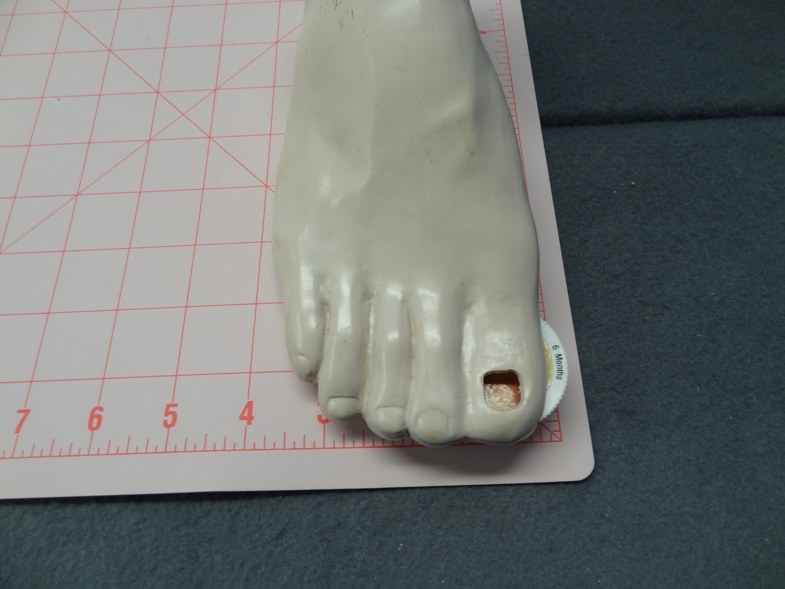 Janssen Sporanox Capsule Foot Display Model Prop Doctor Office Advertisement EUC