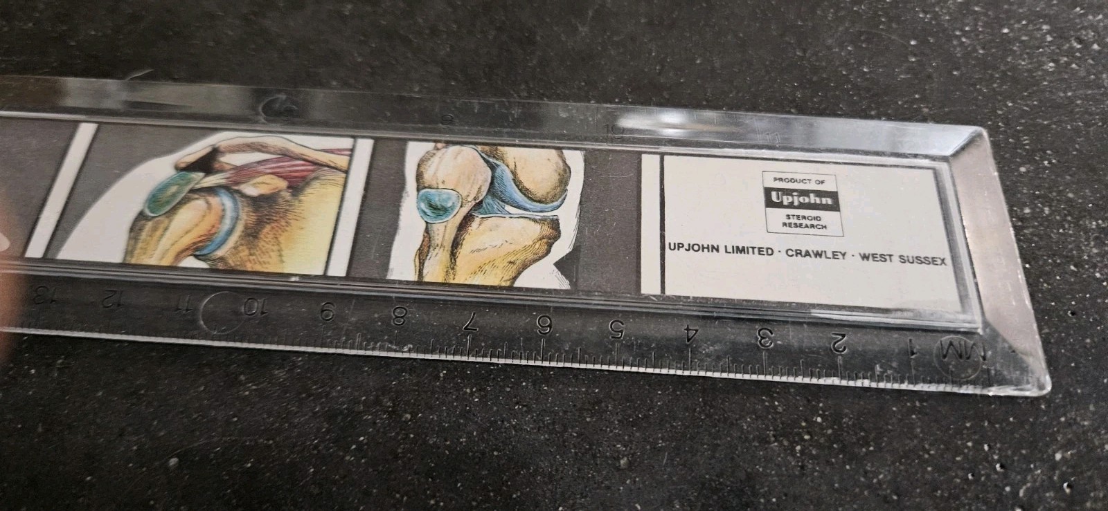 Vintage Upjohn Pharma. 12″ Plastic Ruler Advertising Lidocaine. Crawley UK