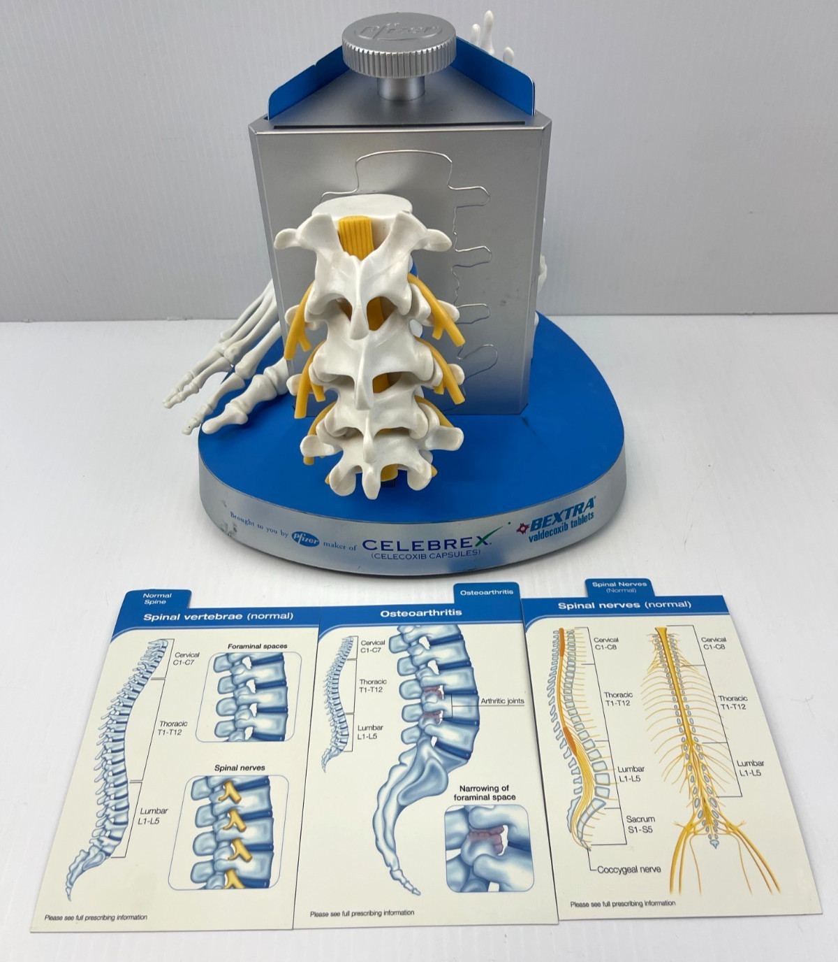 Pfizer Pharmaceutical Advertisement Celebrex Bextra Arthritis Display Model