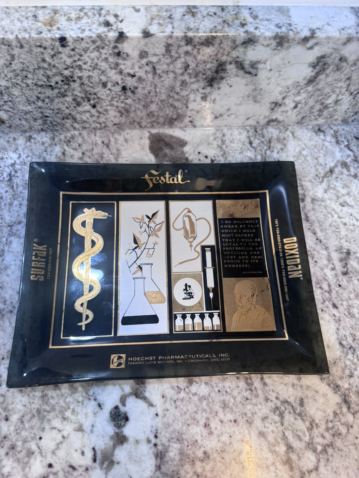 Vintage Pharmaceutical Medical Glass Plate Advertising Festal Doxidan 9×7 Swag