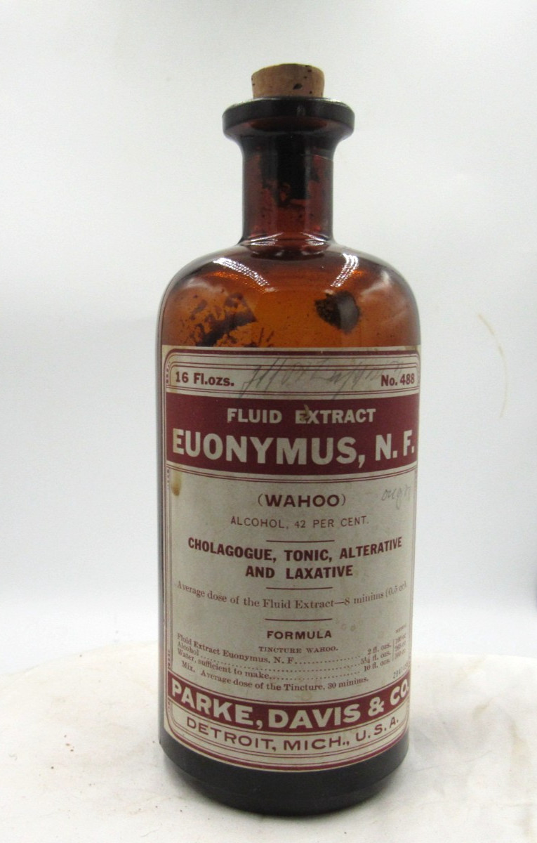 MM – 1920’s Parke, Davis & Co Detroit Mich Euonymus 7 3/8″ Amber Medicine bottle