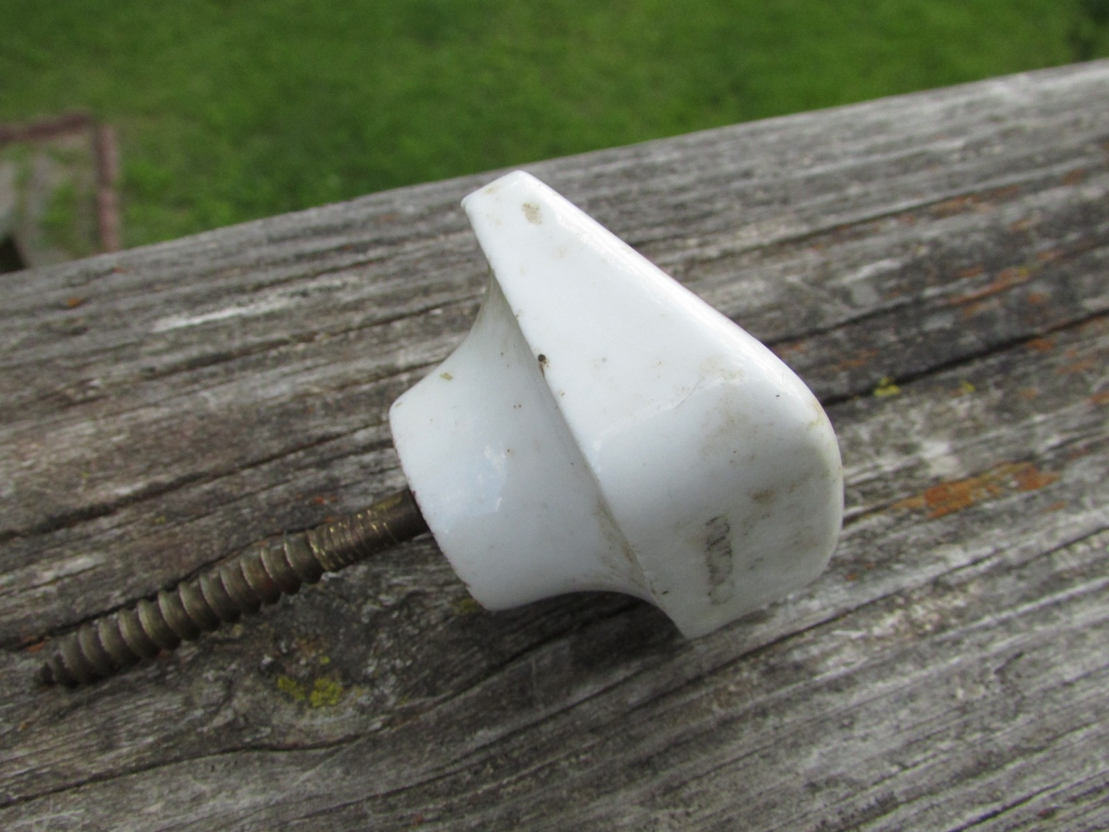 Unusual 1900s MARRUBIUM (Horehound) Porcelain APOTHECARY Cabinet Drawer KNOB A++