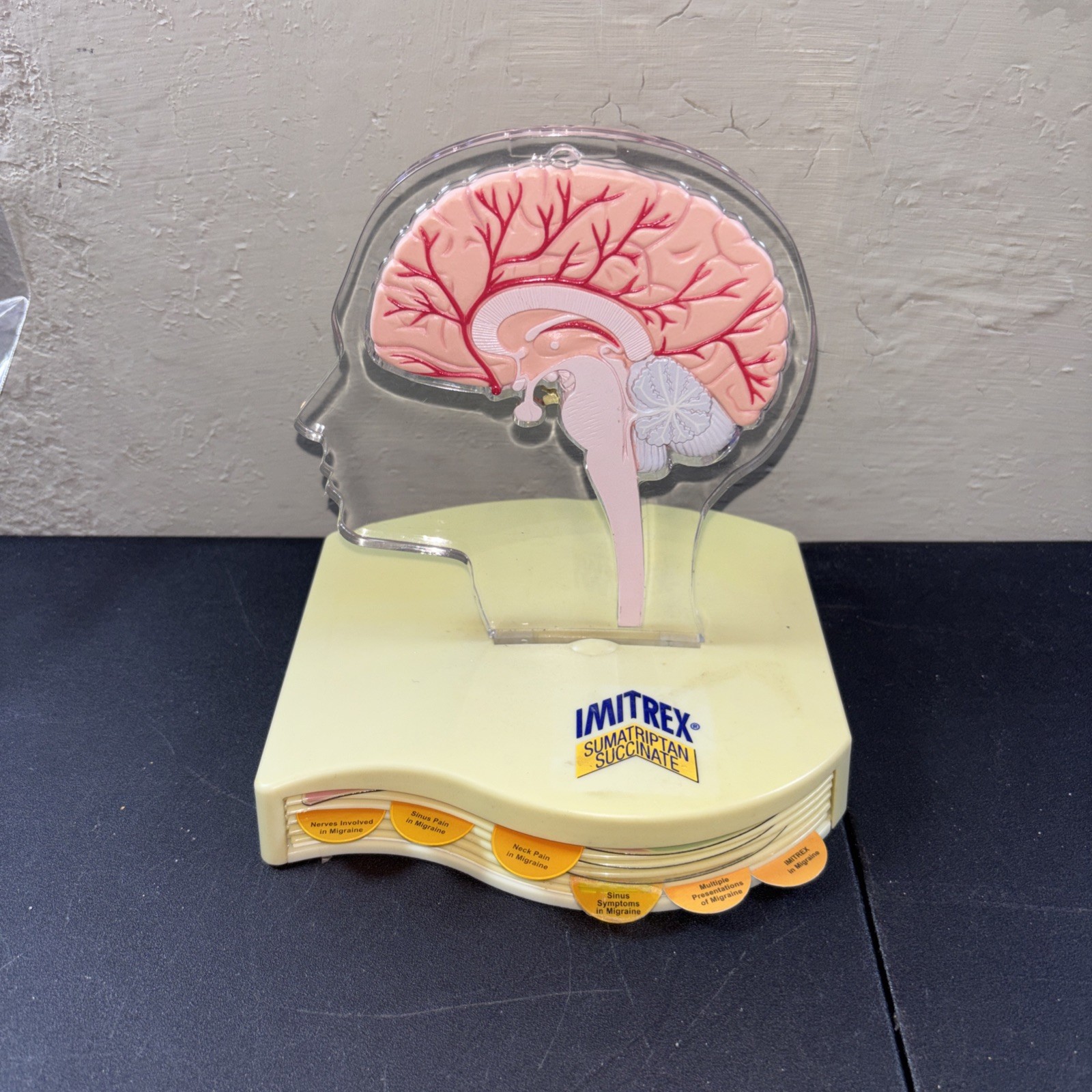 Imitrex Hemi-Brain Model @