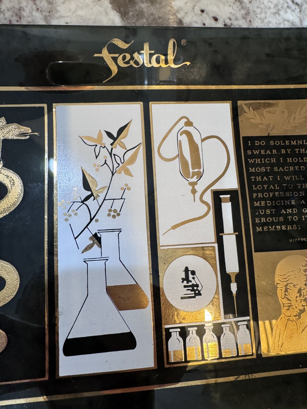 Vintage Pharmaceutical Medical Glass Plate Advertising Festal Doxidan 9×7 Swag