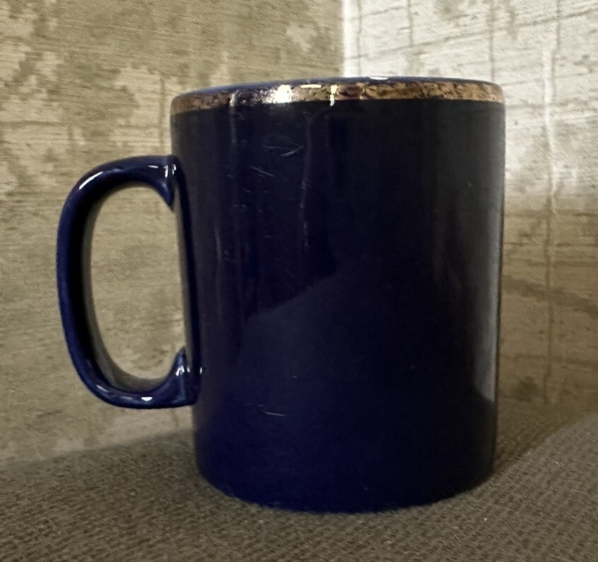 Vintage Drug Rep Calan SR Mug Pharmaceutical Advertisement – Used