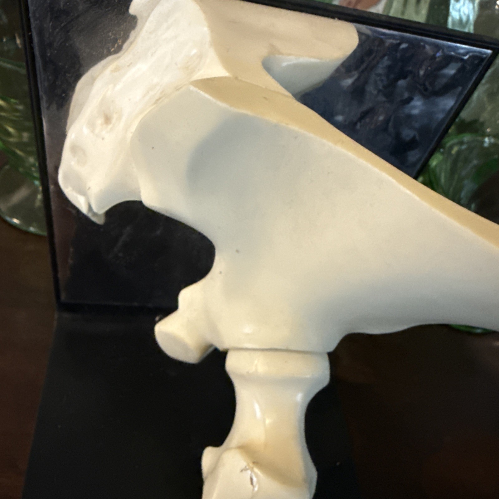Vintage 1980’s Merck Indocin Human Hip Anatomically Correct Excellent Look