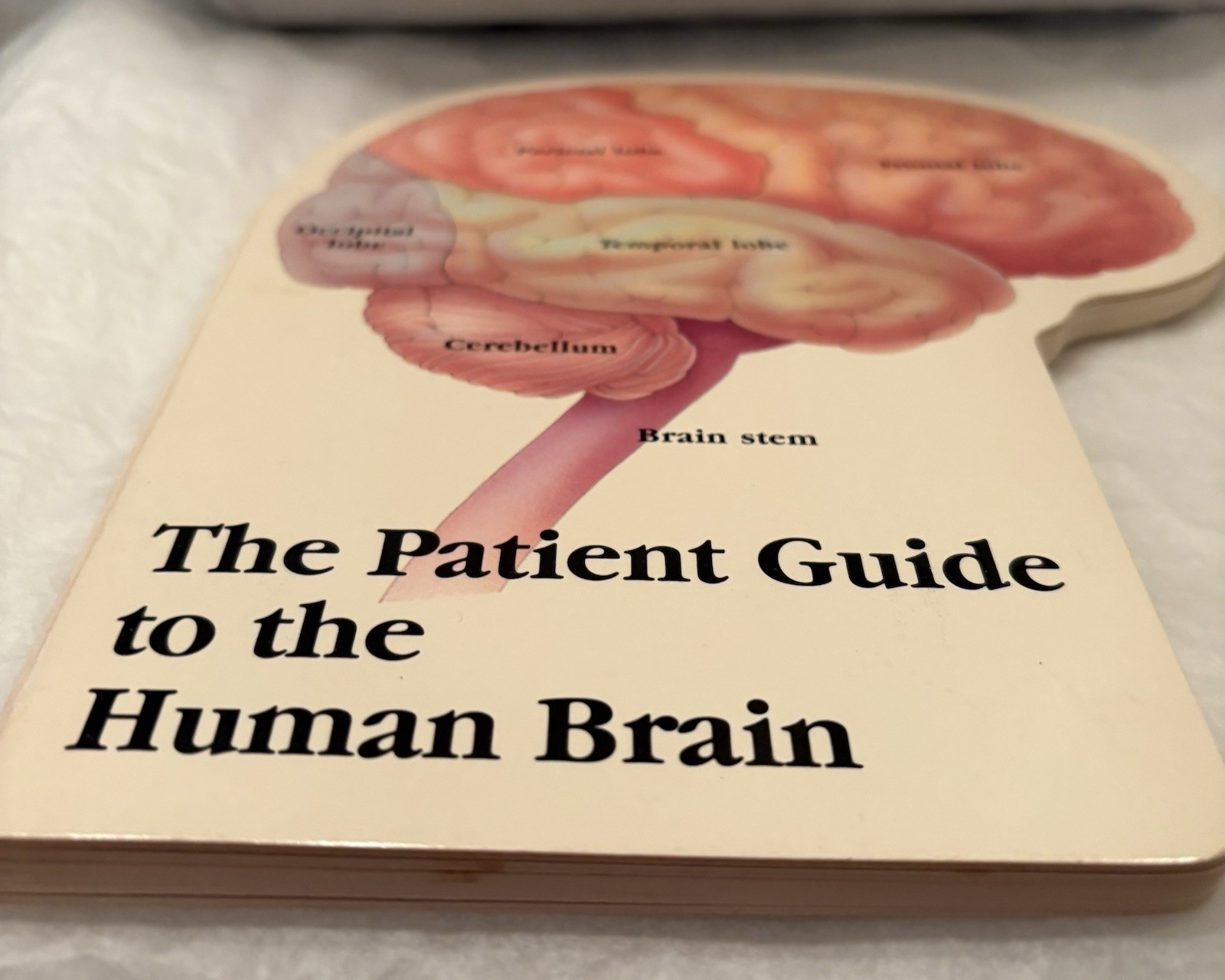 VTG 1990 TEGRETOL “PATIENT GUIDE TO THE HUMAN BRAIN” PHARMA LOGO ADVERTISING
