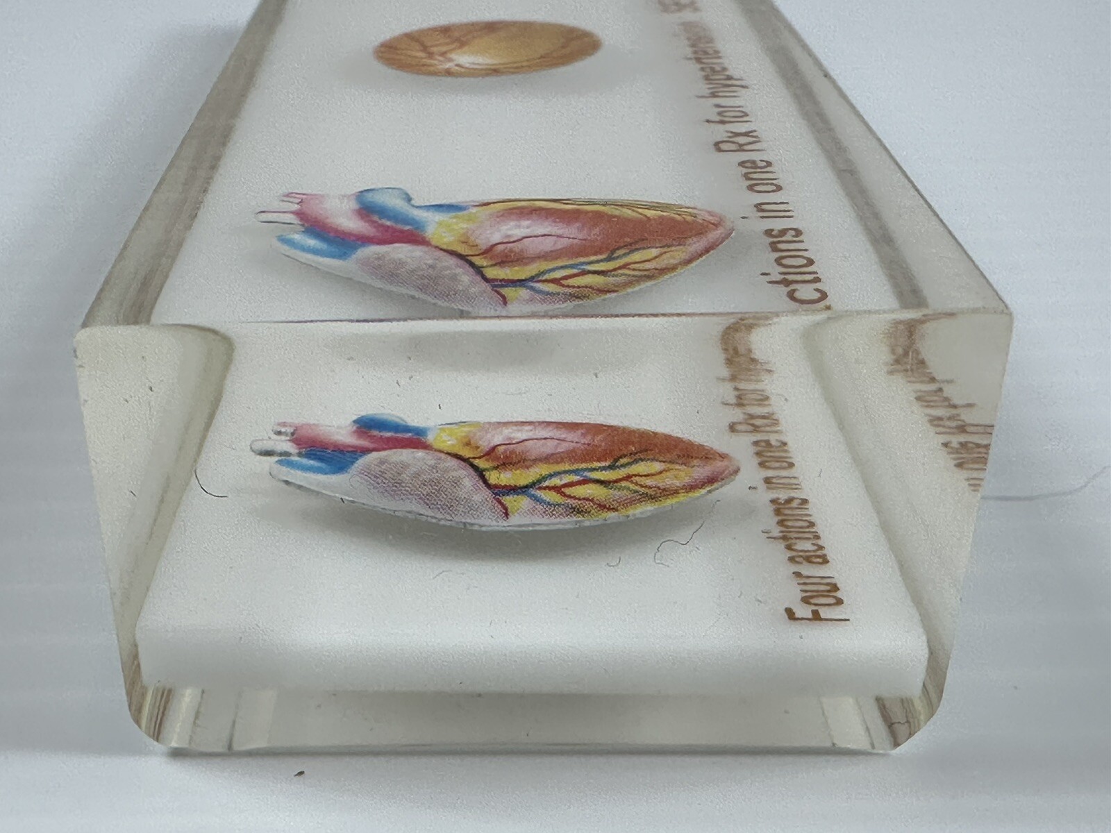 VTG CIBA PHARMACEUTICAL PHYSICIAN PAPERWEIGHT BODY ORGANS SER-AP-ES ADVERTISING