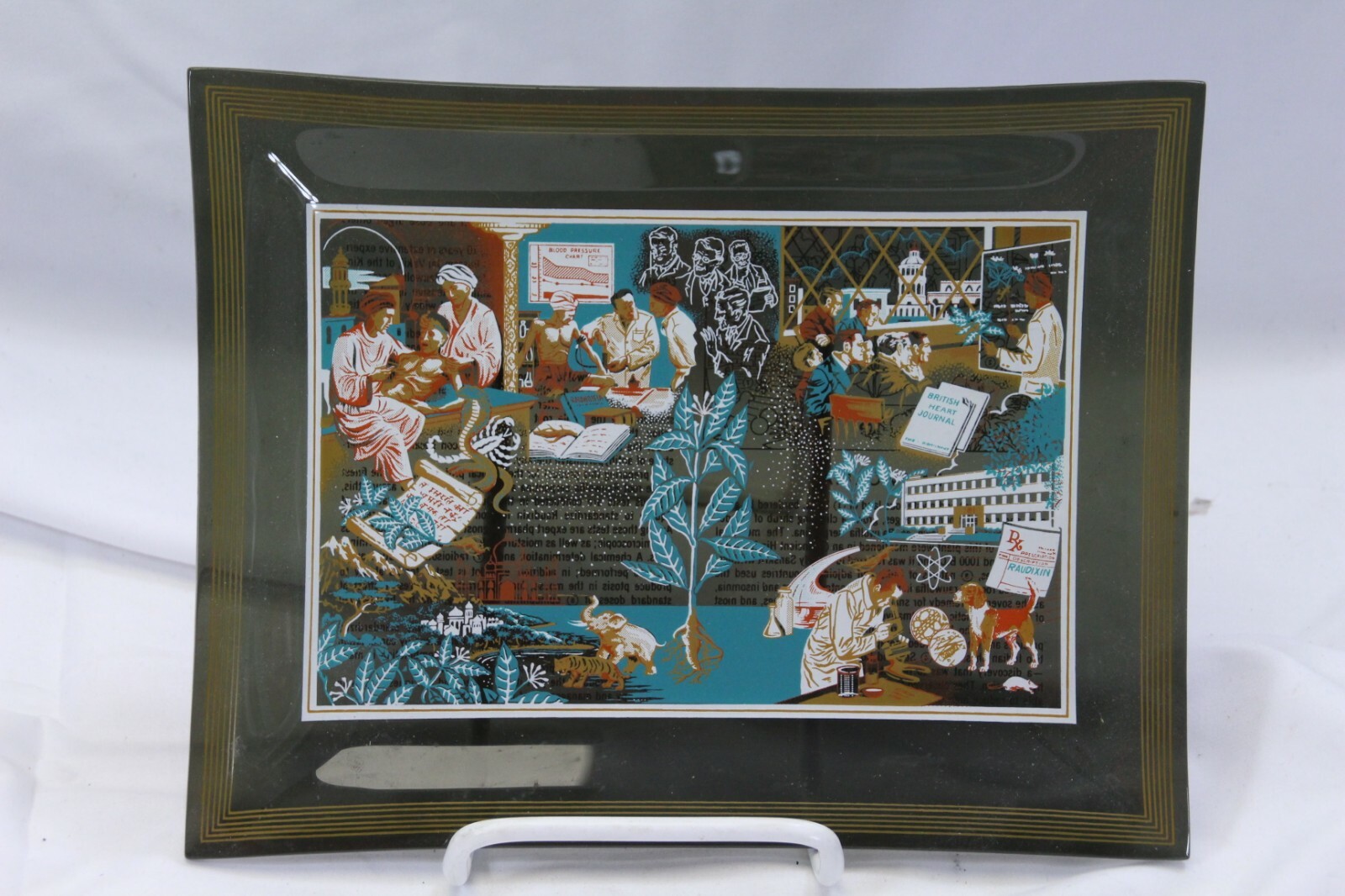 1950s SQUIBB DRUG Co PROMO Rauwolfia Root Medical INDIA Glass TRAYS Lot of 3