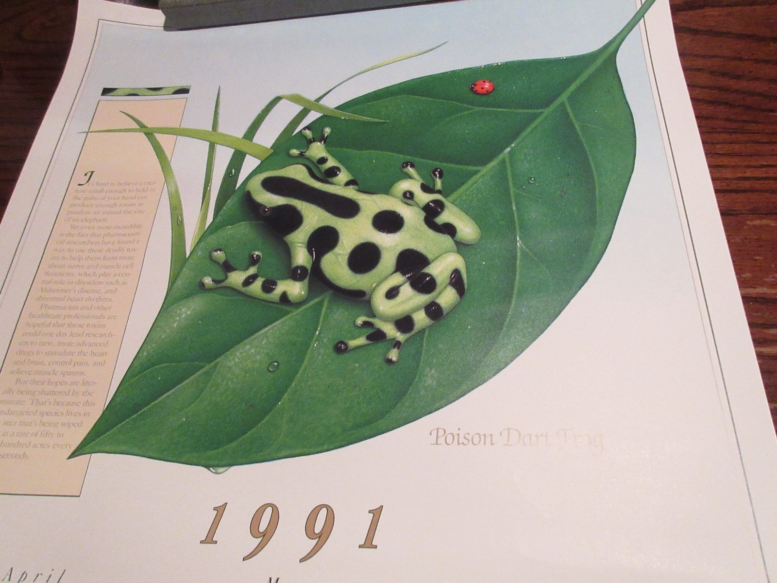 Rx ,Pharmacy , POSTER ,18″ X 24″ ,Photographs Depicting History & Heritage ,1991